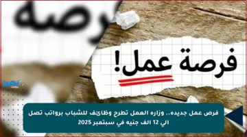 فرص عمل جديدة.. وزارة العمل تطرح وظائف للشباب برواتب تصل إلى 12 ألف جنيه في سبتمبر 2025
